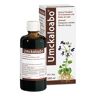 Umckaloabo flüssig 100 ml Flüssigkeit