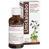 Umckaloabo flüssig 50 ml Flüssigkeit