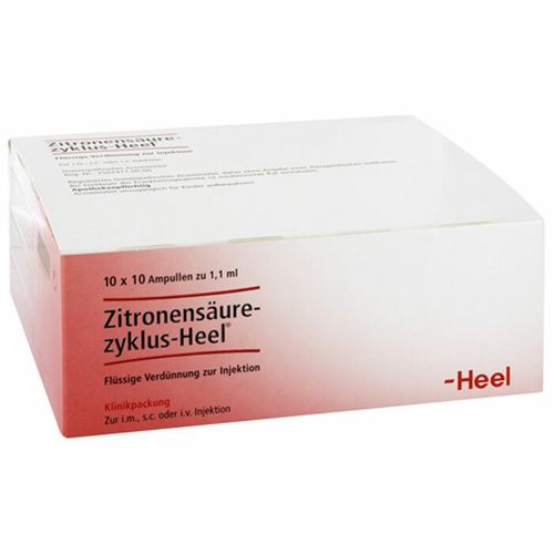 Heel Zitronensäurezyklus-Heel® Ampullen 100 St Ampullen