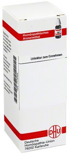 DHU Zizia Aurea Urtinktur 50 ml Dilution