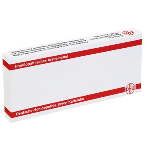 DHU-Arzneimittel GmbH & Co. KG DHU Ranunculus Bulbosus D4 8X1 ml Ampullen