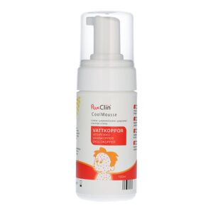 PoxClin CoolMousse 100 ml