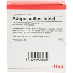 Guna Heel Adeps Suillus Injeel Medicinale Omeopatico, 10 Fiale