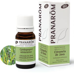 pranarom olio essenziale Citronella di Giava - 10 ml