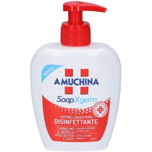 Angelini pharma Amuchina sapone liquido Disinfettante 250 ml