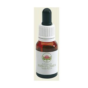 Bush Biotherapies Pty Ltd Peach Flow Tea Tree Austr15ml