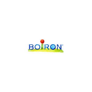 Boiron Srl Hypericum Perfo 200ch Gl Bo