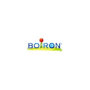 Boiron Srl Thuya Occident 30ch Gr Bo