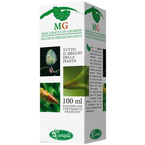 Sangalli Srl Betula Verrucosa 100ml Mg