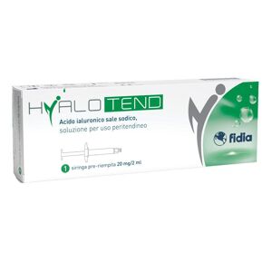 Fidia Farmaceutici Spa Hyalotend 1 Siringa Da 20 Mg/2ml