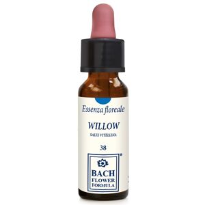 Erba Vita Willow Original 10ml Gtt