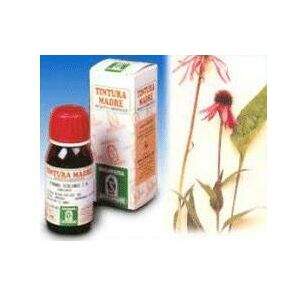 SPECCHIASOL Srl SP.ECHINACEA ANGUS. TM 50ml