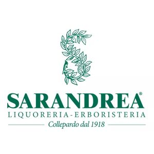 SARANDREA MARCO &C. Srl BARDANA 100ML GTT