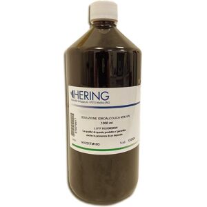 Hering Gingko Biloba Tintura Madre 1 Litro