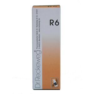 Dr.reckeweg Reckeweg R6 Gocce 22ml