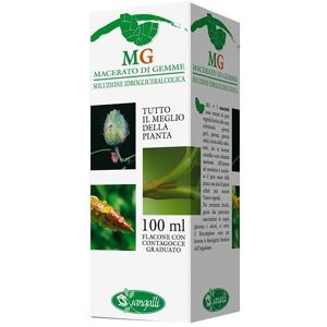 Sangalli Noce Macerato Di Gemme 100ml