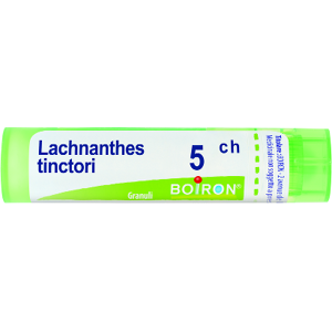 Boiron Srl LACHNANTHES TINCTORIA Tubo   5CH