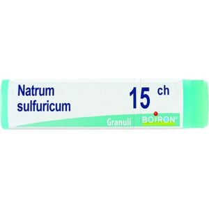 Boiron Srl BO.NATRUM SULFURICUM*15CH GL