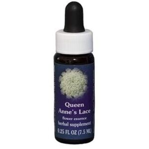 Natur Srl QUEEN ANNES LACE 7,5ML CALF