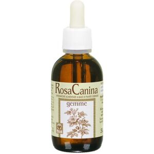 Ecol Sas ROSA CANINA GEMME ANALCO 50ML