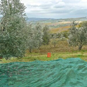 4F GROUP Rete per olive  antispina L 12 x H 10 m