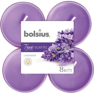 BOLSIUS Tealight  essenza lavanda  Ø 11.5 cm H 4.6 cm, 8 pezzi