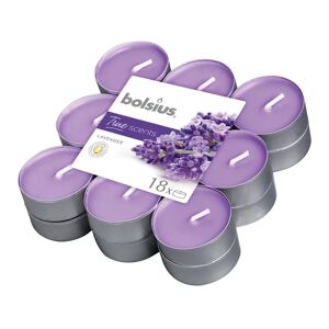 BOLSIUS Tealight  essenza lavanda H 11.5 cm, 18 pezzi