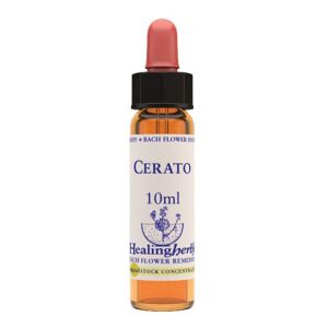 NATUR Srl CERATO ESS 10ML INGL HERBS