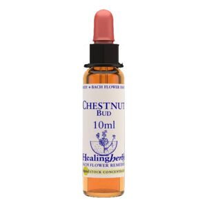 NATUR Srl CHESTNUT BUD ESS 10ML INGL HER