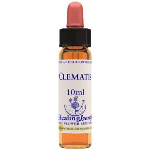 NATUR Srl CLEMATIS ESS 10ML INGL HERBS