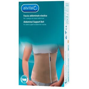 Alliance Healthcare Alvita Fascia Addominale Elastica Misura 2