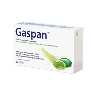 Schwabe Gaspan 28 capsule molli gastroresistenti