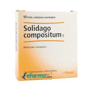 Guna -Heel Solidago Compositum S Medicinale Omeopatico 10 Fiale