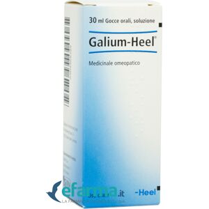 Guna -Heel Galium Gocce Orali Medicinale Omeopatico 30 ml