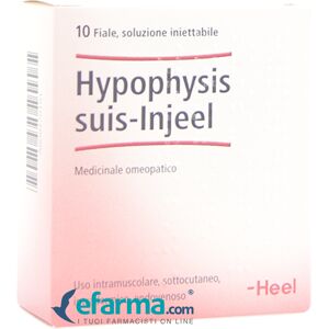 Guna Heel Hypophysis suis-injeel 10 Fiale da 1,1 ml