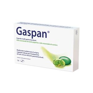 DR.WILLMAR SCHWABE GmbH&CO.KG GASPAN 14 Capsule Molli Gastroresistenti