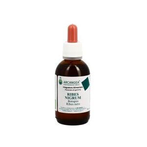 Arcangea Ribes Nigrum Macerato Glicerico 50ml