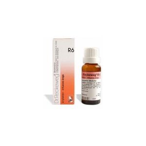 DR. RECKEWEG DR.RECKEWEG R6 GOCCE DA 22ML