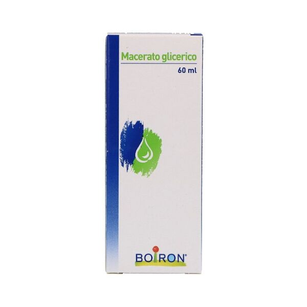 boiron srl boasesculus hipp mg 60ml int