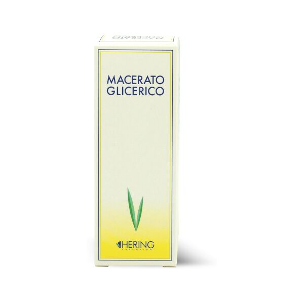 hering srl acer campestre gemme 60ml macerato glicerico