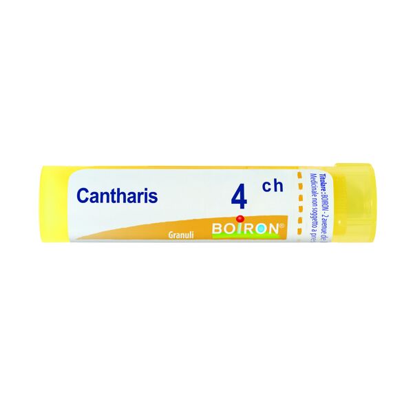 boiron srl cantharis 4ch granuli multidose boiron