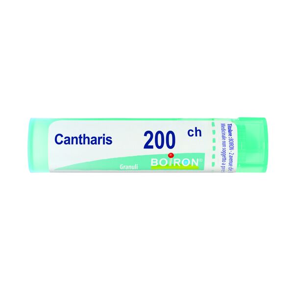 boiron srl cantharis 200 ch tubo 2020