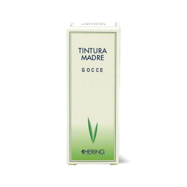 hering ficus carica 125ml tm