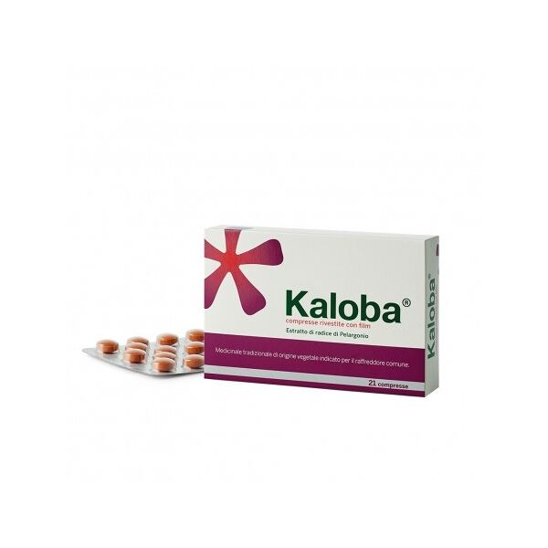 schwabe pharma italia kaloba 21 compresse 20 mg