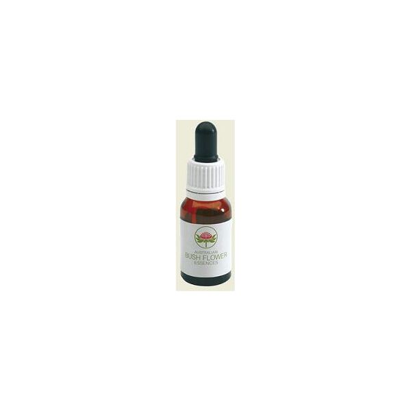 bush biotherapies pty ltd lichen 15ml gtt