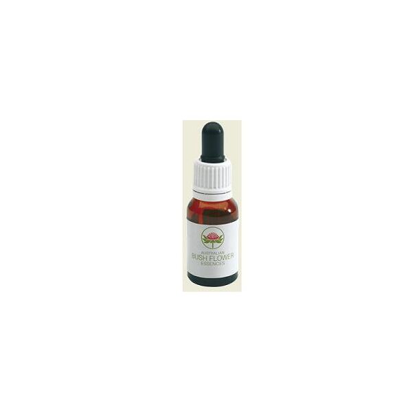 bush biotherapies pty ltd yellow cowslip orchid 15ml gtt