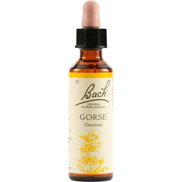 fiori di bach schwabe bach gorse gocce 20 ml