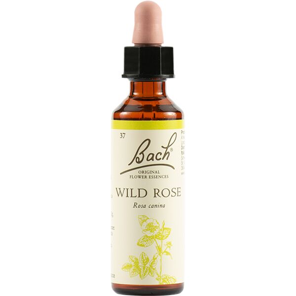 fiori di bach schwabe 36 wild rose gocce 20 ml