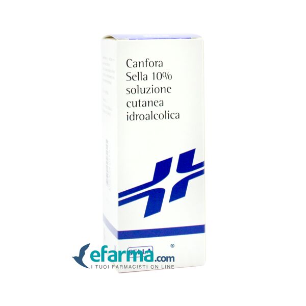 sella canfora 10% soluzione cutanea flacone 100 g