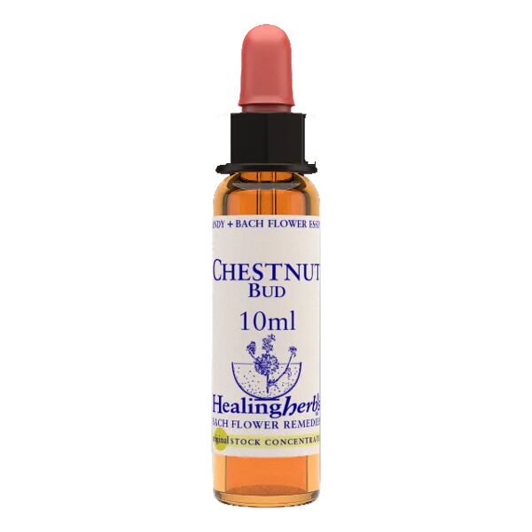 natur srl chestnut bud essenza 10 ml 1 pezzo